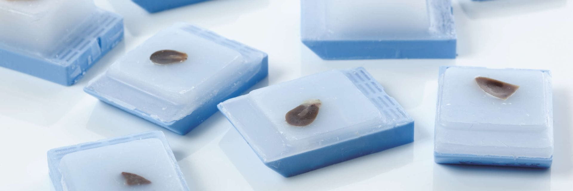 Your FFPE Questions, Answered